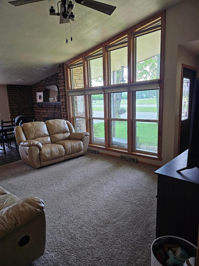1005 8th Ave SW, Pipestone, MN 56164 - carpeted living area with a textured ceiling, ceiling fan, and vaulted ceiling
