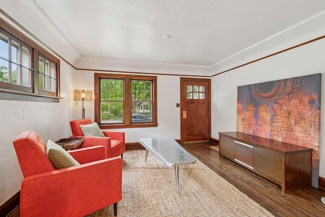 4613 34th Ave S, Minneapolis, MN 55406 - living room with wood finished floors, healthy amount of natural light, and baseboards