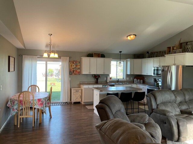 1218 8th Ave NW, Perham, MN 56573 - kitchen featuring open floor plan, stainless steel appliances, lofted ceiling, dark wood-style floors, and a kitchen island