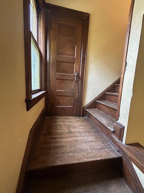 stairway with wood finished floors