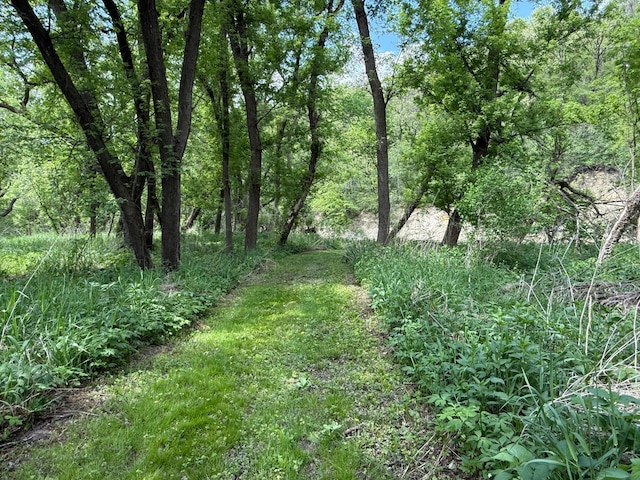 4615 County Road 5 NW, Byron, MN 55920 - view of tree filled area