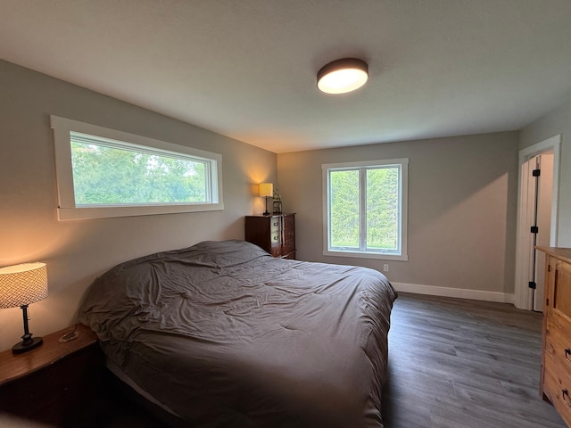 4615 County Road 5 NW, Byron, MN 55920 - bedroom featuring multiple windows, wood finished floors, and baseboards