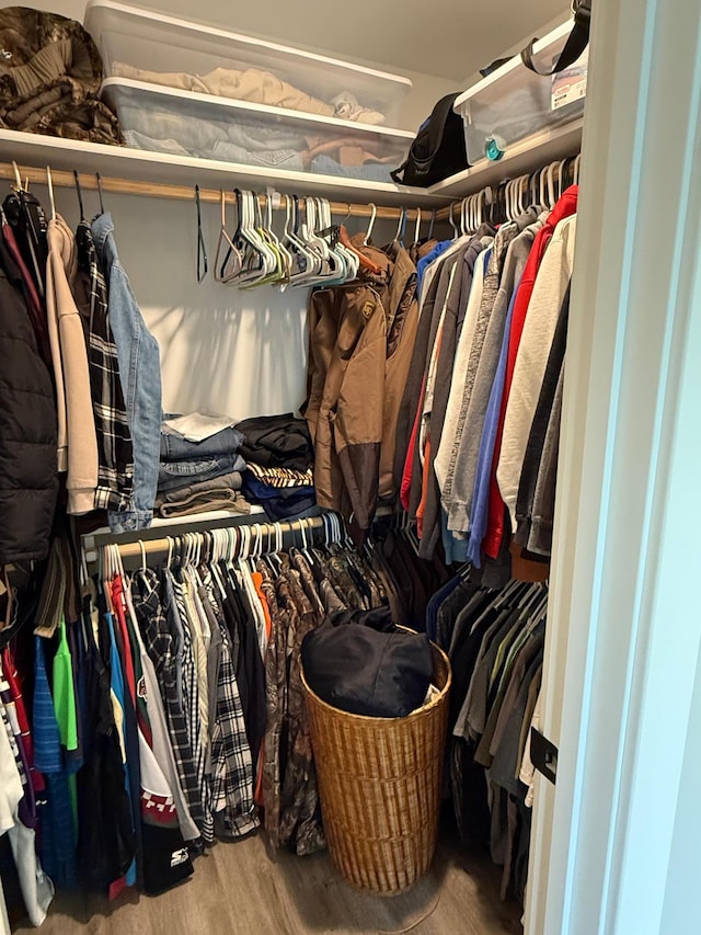 4615 County Road 5 NW, Byron, MN 55920 - walk in closet featuring wood finished floors