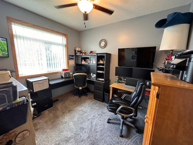 6158 Forest Boulevard Trl, Wyoming, MN 55092 - home office featuring ceiling fan, carpet flooring, and a textured ceiling