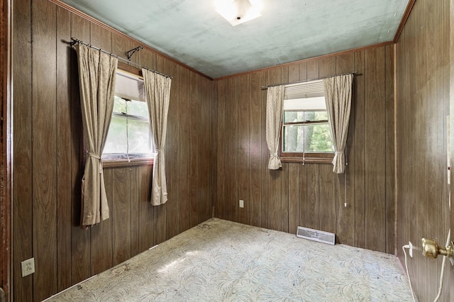 15910 201st Ave NW, Big Lake Twp, MN 55330 - empty room featuring plenty of natural light and wood walls