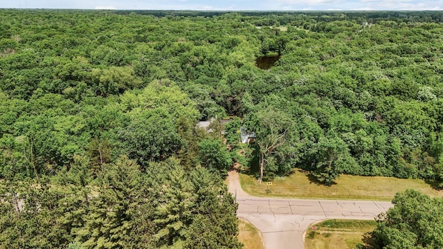 15910 201st Ave NW, Big Lake Twp, MN 55330 - photo 34