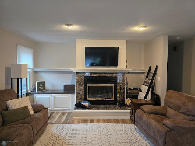 2105 7th St S, Moorhead, MN 56560 - living room with light wood-style floors and a premium fireplace