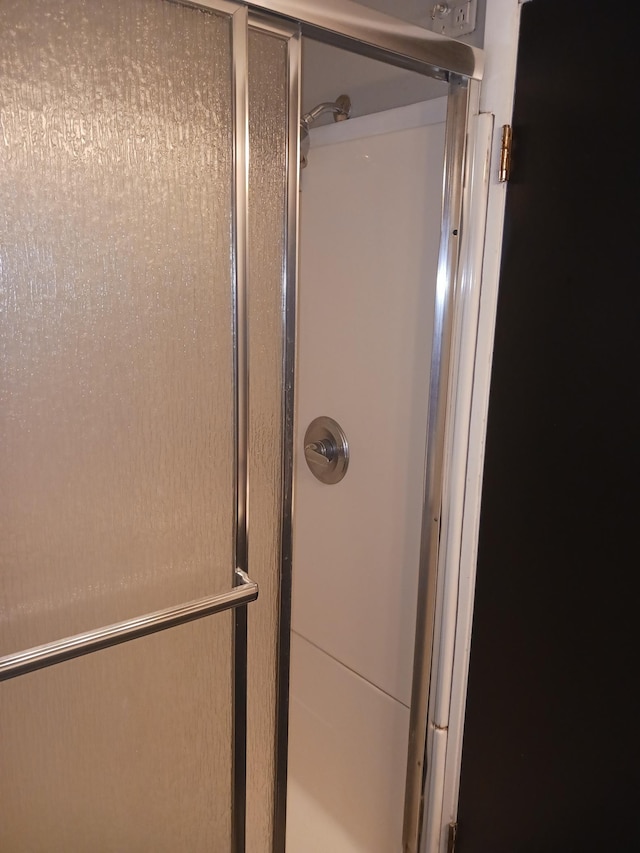 1706 Alcott Ave, Buse Twp, MN 56537 - detailed view of a stall shower