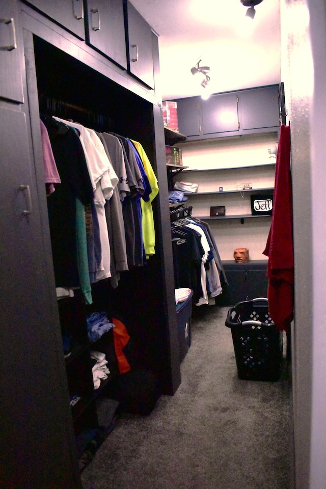 1706 Alcott Ave, Buse Twp, MN 56537 - spacious closet with carpet flooring