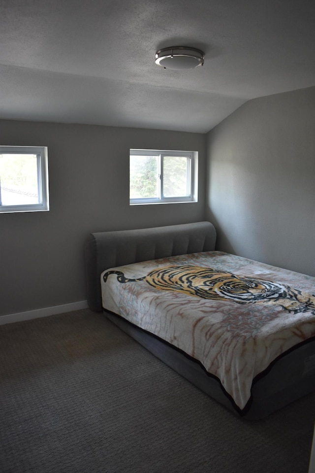 1706 Alcott Ave, Buse Twp, MN 56537 - bedroom featuring carpet and baseboards