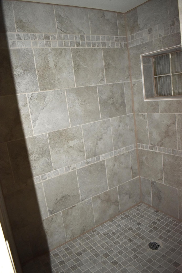 1706 Alcott Ave, Buse Twp, MN 56537 - full bath featuring a tile shower
