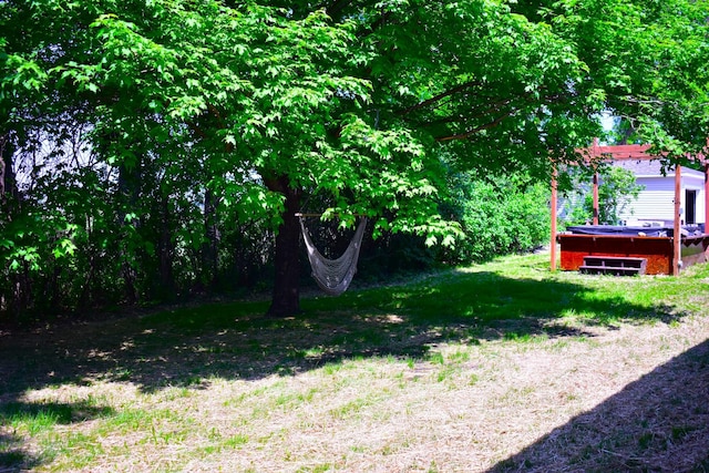 1706 Alcott Ave, Buse Twp, MN 56537 - view of yard