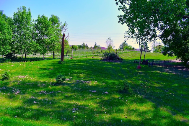 1706 Alcott Ave, Buse Twp, MN 56537 - view of grassy yard