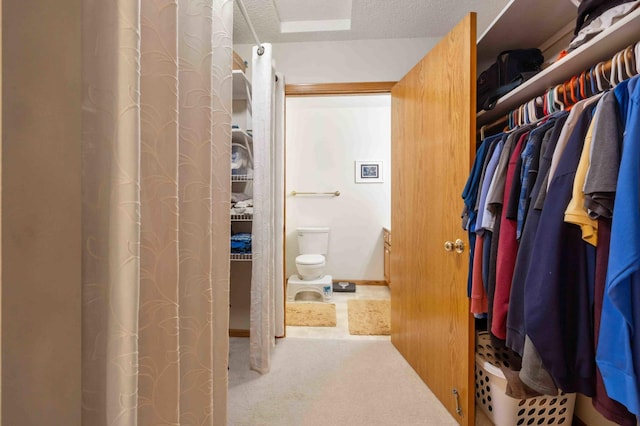 spacious closet featuring carpet floors