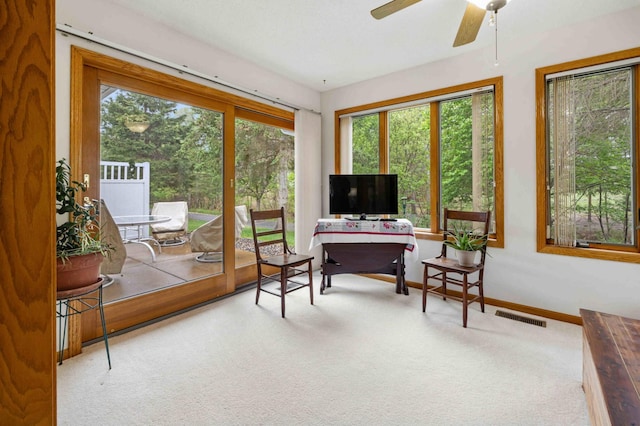 carpeted office space with healthy amount of natural light, a ceiling fan, and baseboards