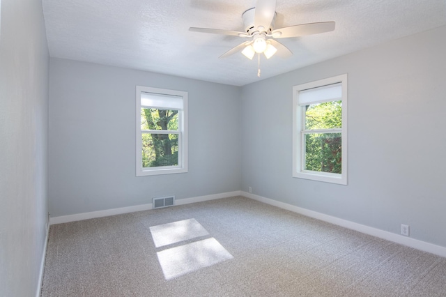 504 Wisconsin Ave N, Frederic, WI 54837 - empty room featuring plenty of natural light, carpet floors, a ceiling fan, and baseboards