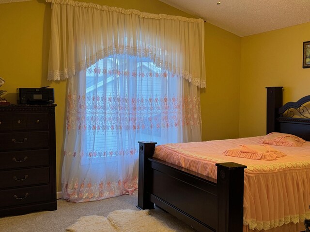847 102nd Ln NE, Blaine, MN 55434 - photo 16