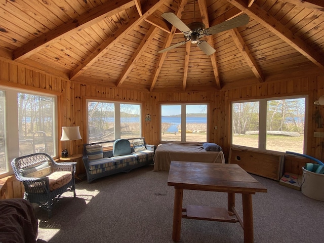 TBD County 89, Park Rapids, MN 56470