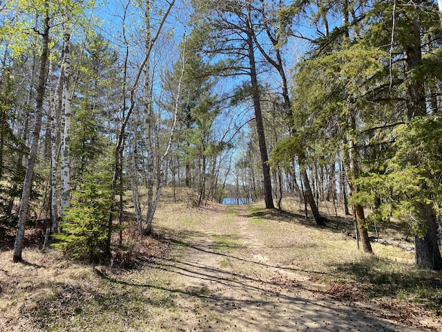 TBD County 89, Park Rapids, MN 56470