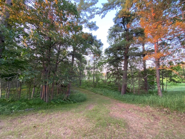 TBD County 89, Park Rapids, MN 56470 - photo 16
