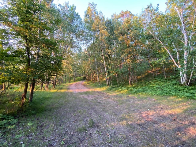 TBD County 89, Park Rapids, MN 56470 - photo 17