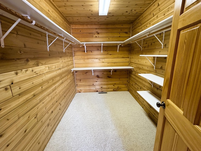 35918 410th Ave SE, Queen Twp, MN 56542 - view of spacious closet