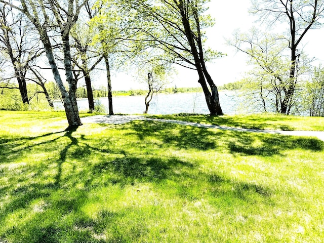 35918 410th Ave SE, Queen Twp, MN 56542 - view of grassy yard featuring a water view