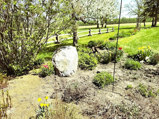 35918 410th Ave SE, Queen Twp, MN 56542 - view of grassy yard