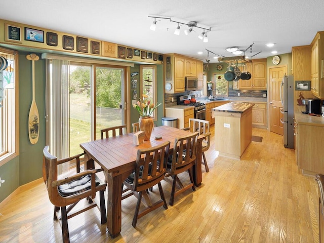 9386 Jennifer Ct, Chisago Lake Twp, MN 55013 - dining space with light wood finished floors