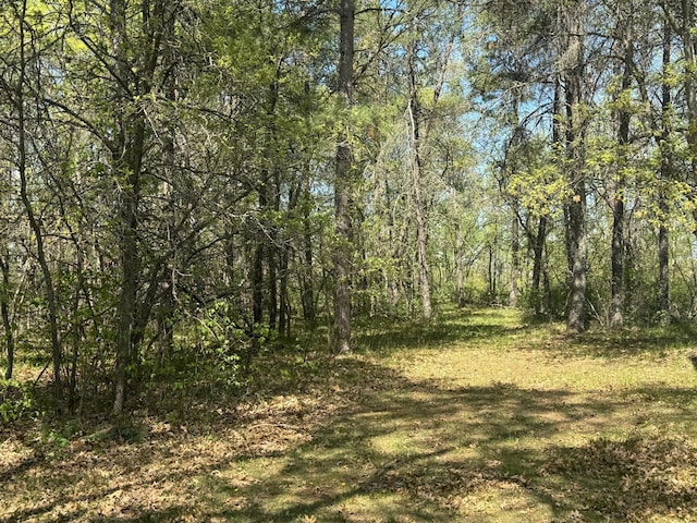 19103 County 4, Henrietta Twp, MN 56470 - view of tree filled area