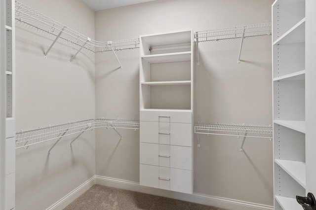 20105 Glenbrook Path, Lakeville, MN 55044 - walk in closet with carpet floors