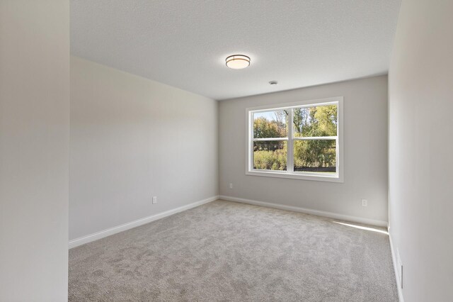 20105 Glenbrook Path, Lakeville, MN 55044 - empty room featuring carpet, baseboards, and a textured ceiling