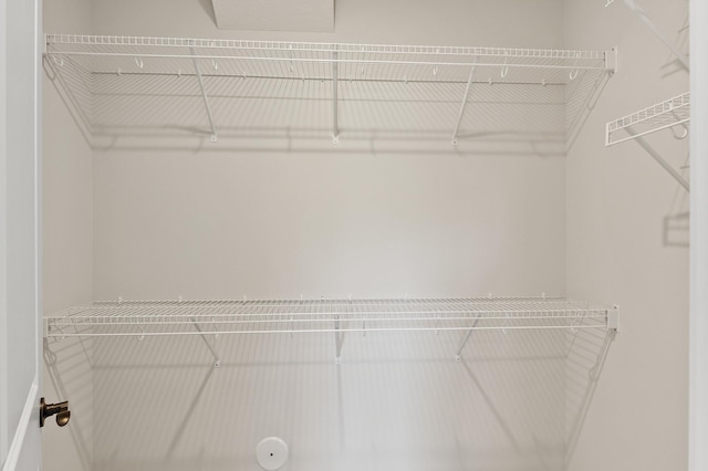 20105 Glenbrook Path, Lakeville, MN 55044 - view of walk in closet