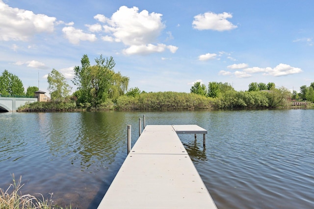 12187 Dunkirk St NE, Blaine, MN 55449 - dock featuring a water view