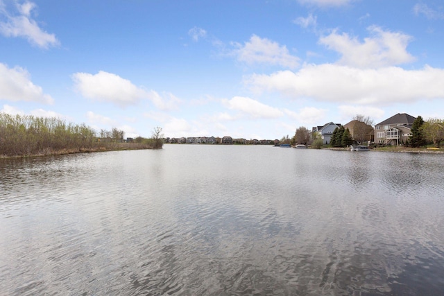 12187 Dunkirk St NE, Blaine, MN 55449 - water view