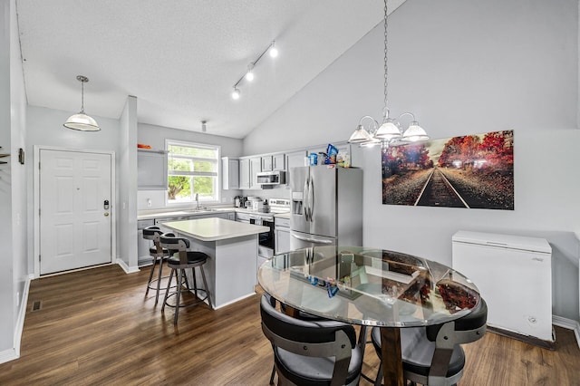 1527 Dublin Ct, Shakopee, MN 55379 - dining area featuring dark wood finished floors, a chandelier, a textured ceiling, track lighting, and baseboards