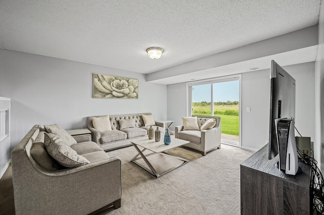 1527 Dublin Ct, Shakopee, MN 55379 - living area featuring carpet flooring, a textured ceiling, and baseboards