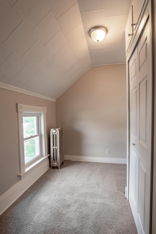 410 Baker St W, Saint Paul, MN 55107 - additional living space with carpet floors, lofted ceiling, baseboards, and radiator heating unit