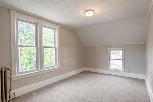 410 Baker St W, Saint Paul, MN 55107 - bonus room with radiator, plenty of natural light, carpet, baseboards, and vaulted ceiling