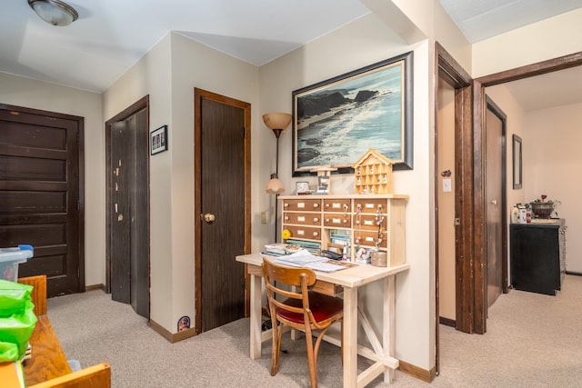 412 Hill Ave, Crookston, MN 56716 - office featuring carpet and baseboards