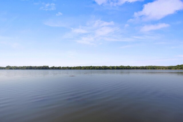 6825 Shore Dr, Greenfield, MN 55373 - photo 37