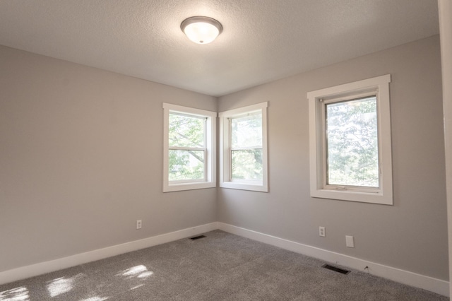 1602 Johnson St NE, Minneapolis, MN 55413 - unfurnished room featuring healthy amount of natural light, baseboards, carpet, and a textured ceiling
