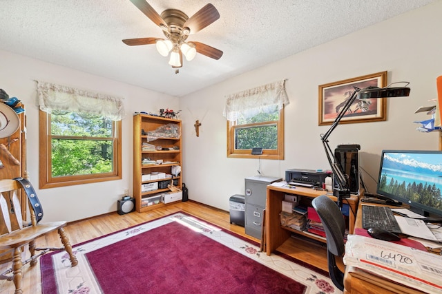 6420 Rolling Hills Rd, Corcoran, MN 55340 - office space with healthy amount of natural light, a ceiling fan, light wood finished floors, and a textured ceiling