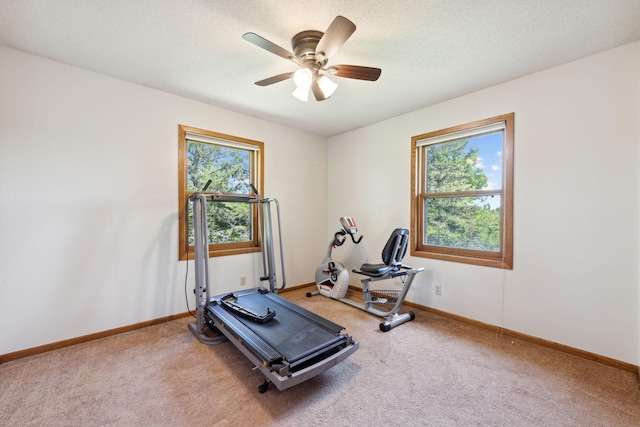 6420 Rolling Hills Rd, Corcoran, MN 55340 - workout room with a ceiling fan and carpet floors