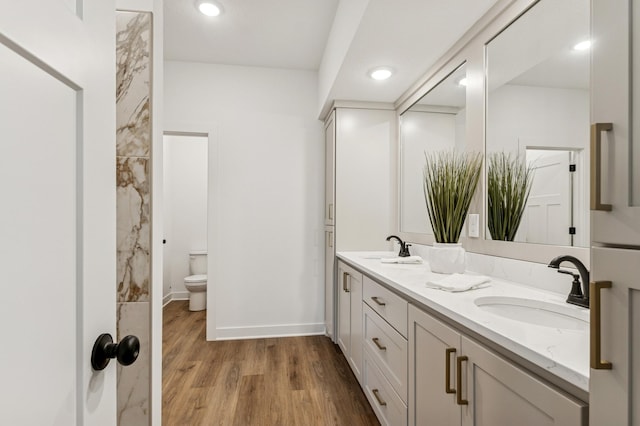 14633 Packard St NE, Ham Lake, MN 55304 - full bathroom featuring double vanity, wood finished floors, and recessed lighting