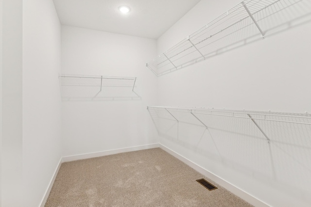 14633 Packard St NE, Ham Lake, MN 55304 - walk in closet featuring carpet floors