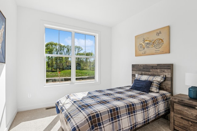 14633 Packard St NE, Ham Lake, MN 55304 - bedroom featuring carpet floors