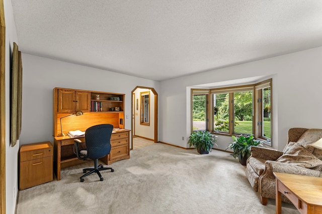 9755 Egret Blvd NW, Coon Rapids, MN 55433 - office area featuring light colored carpet and a textured ceiling