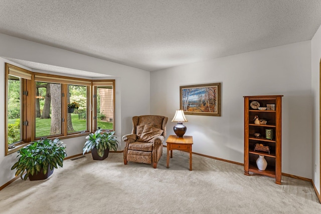 9755 Egret Blvd NW, Coon Rapids, MN 55433 - sitting room with light carpet and a textured ceiling