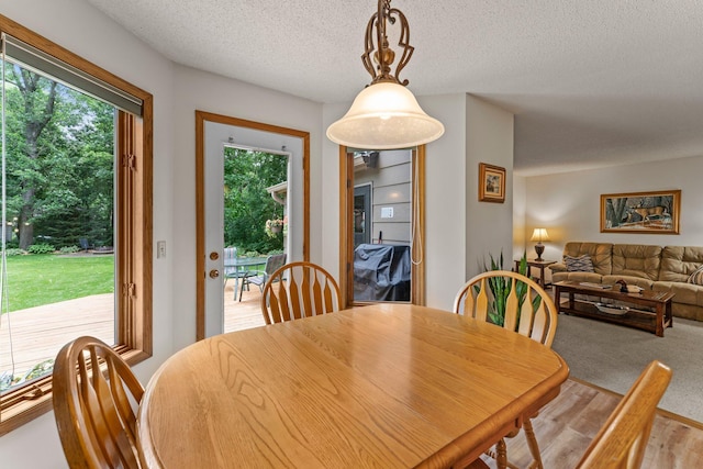 9755 Egret Blvd NW, Coon Rapids, MN 55433 - dining area featuring wood finished floors and a textured ceiling